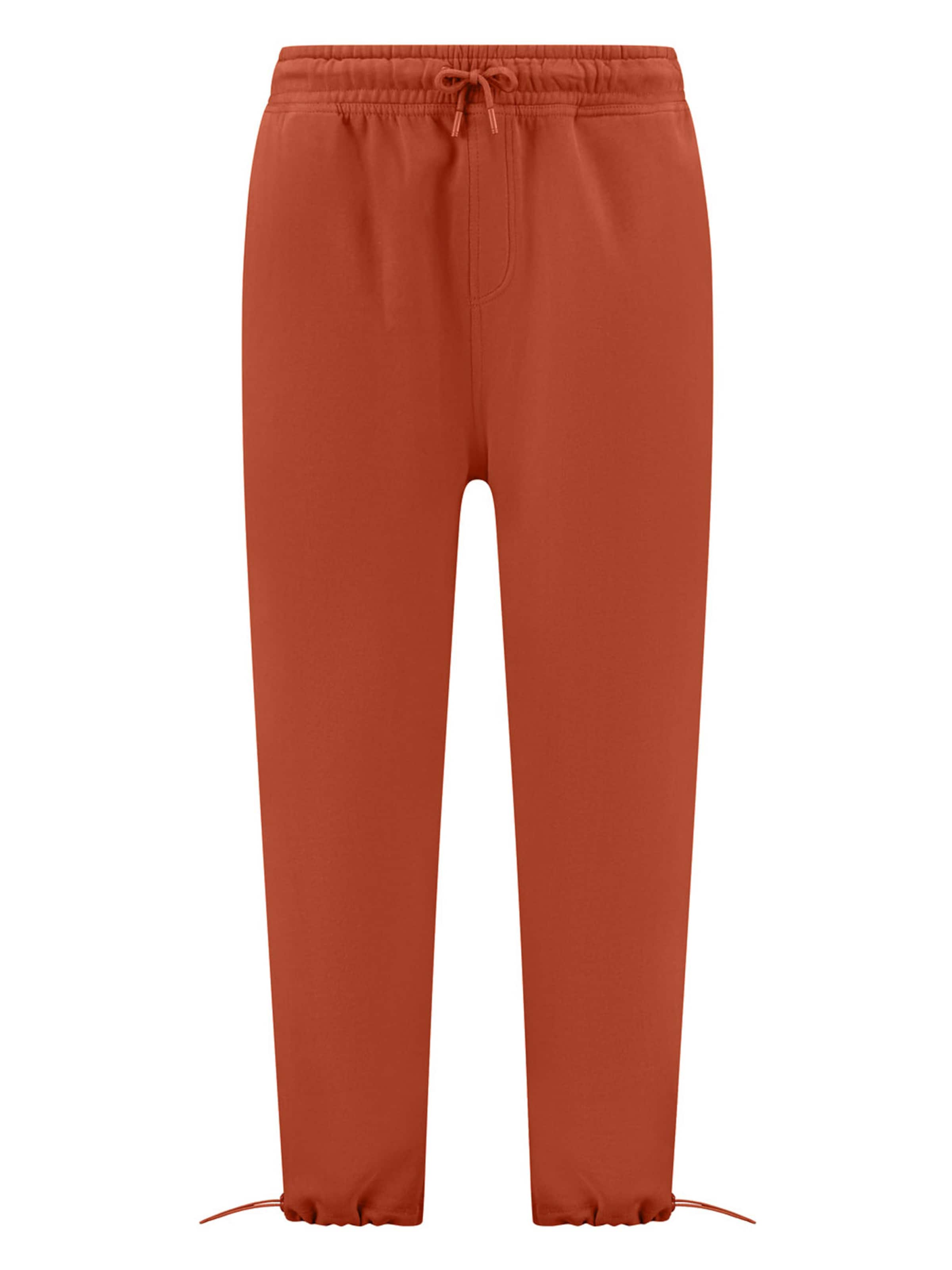 Shiwi Hose in kastanienbraun, Produktansicht