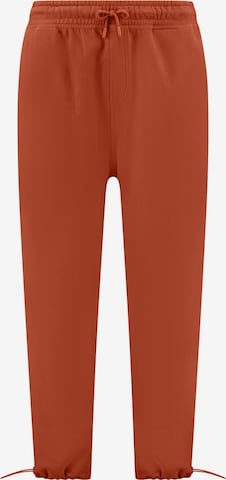 Effilé Pantalon Shiwi en marron : devant