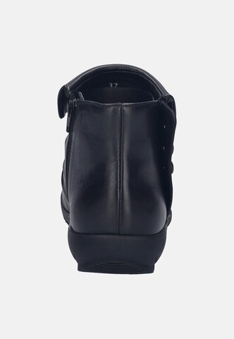 JOSEF SEIBEL Stiefelette 'Charlotte 14' in Schwarz