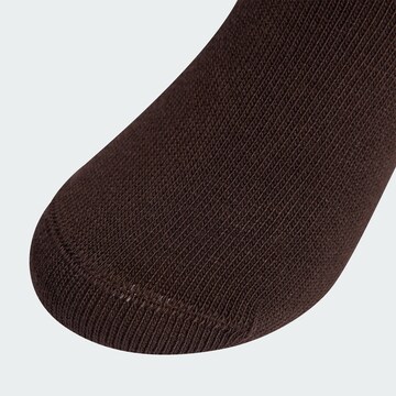 Calzino 'MID ANKLE SOCK 3 PAIR PACK KIDS' di ADIDAS ORIGINALS in marrone