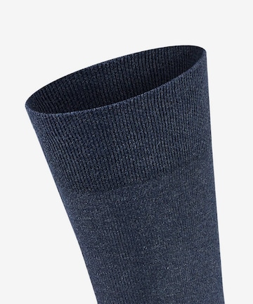 FALKE Socks in Blue