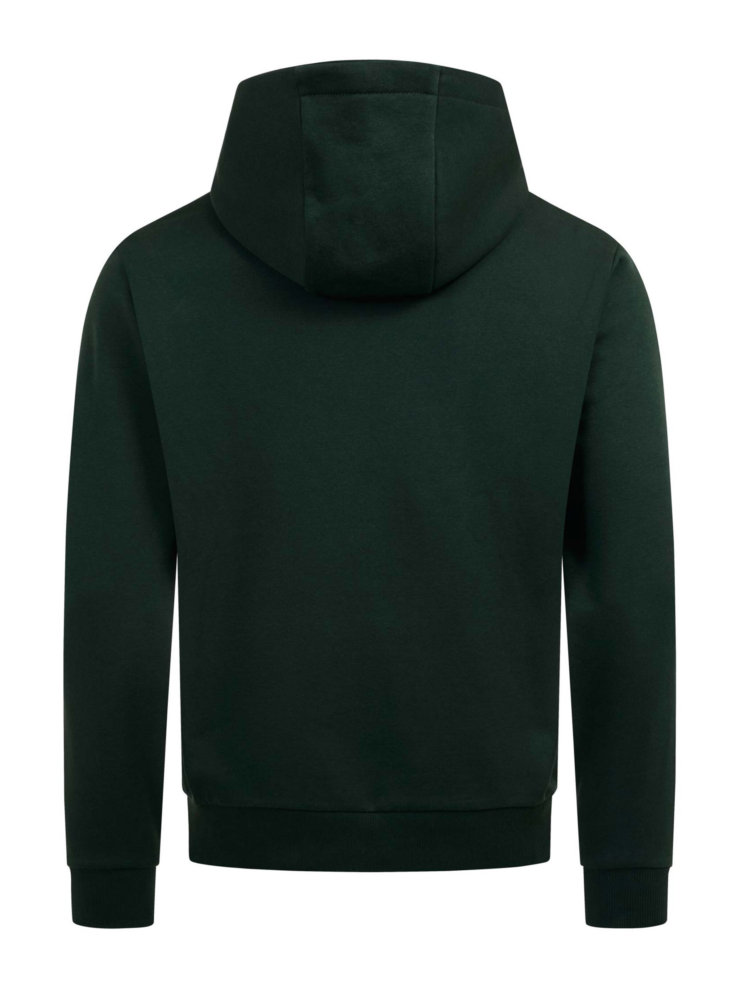 U.S. POLO ASSN. Sweatshirt in Green