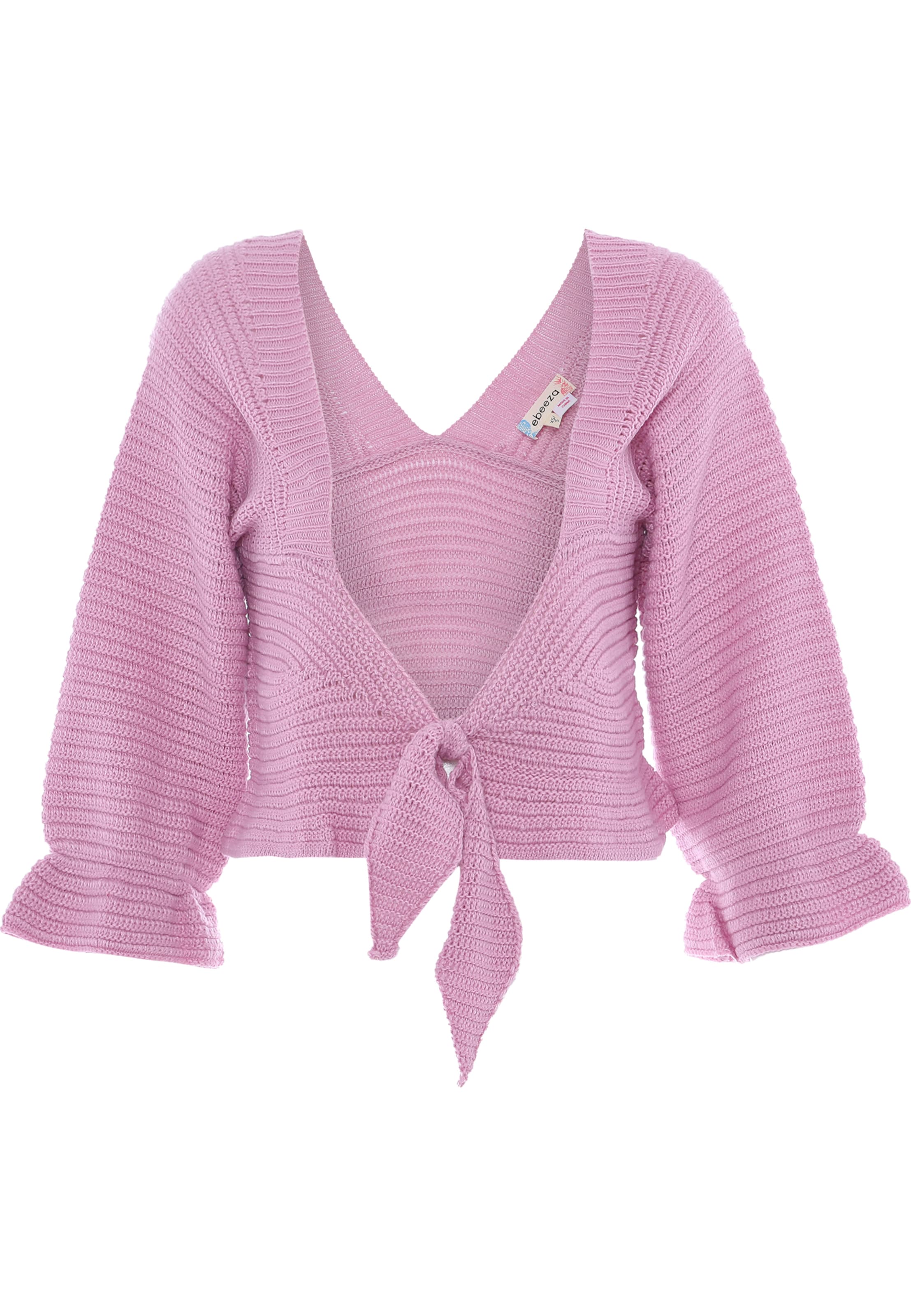 ebeeza Sweater in Purple: front