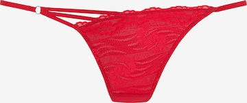 raudona s.Oliver Siaurikės: priekis