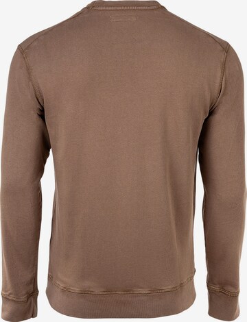 REPLAY Sweatshirt in Braun