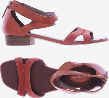 Marc O'Polo Sandals & High-Heeled Sandals in 39 in Pink: front