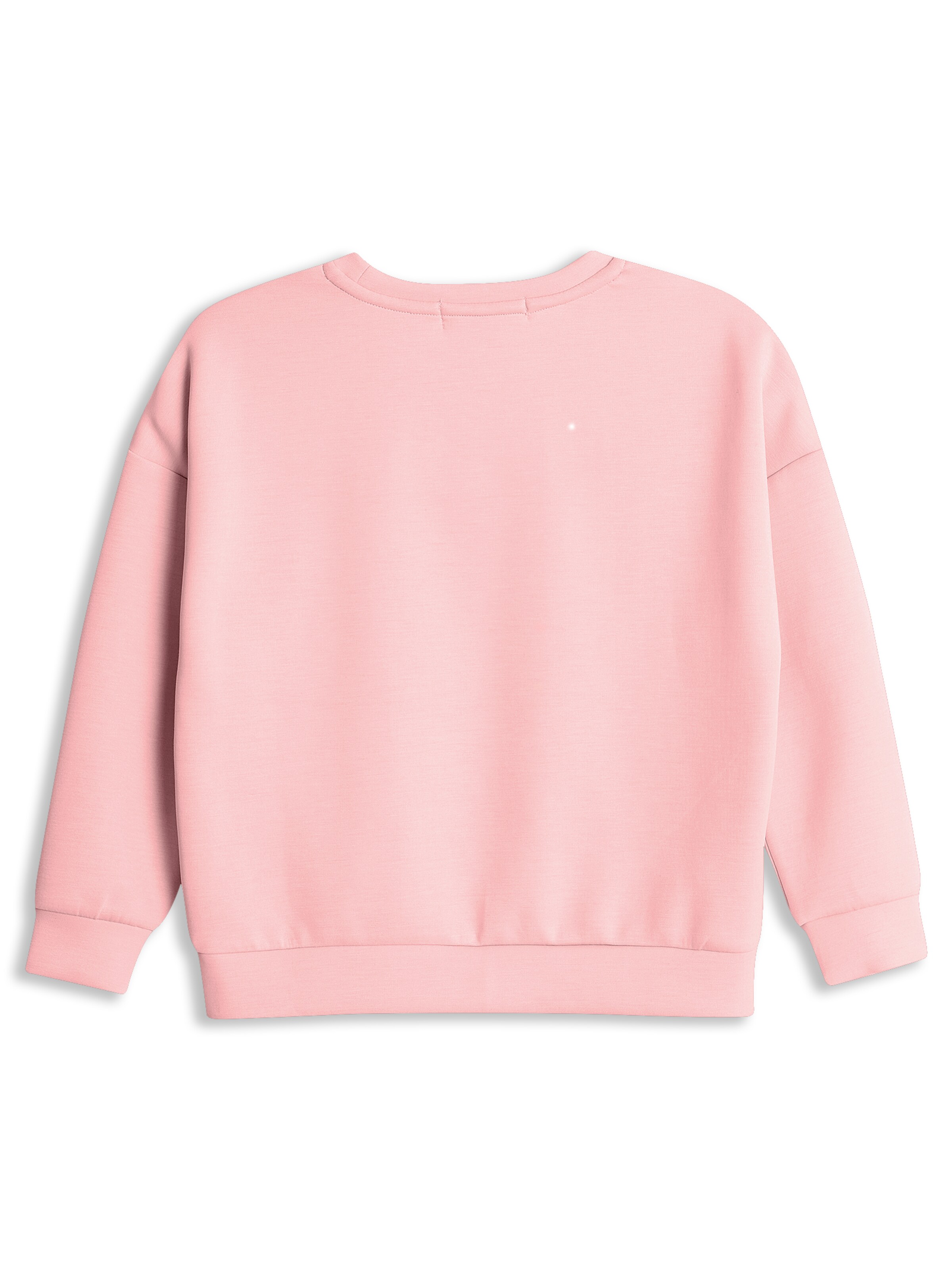 4PRESIDENT Sweatshirt 'Merel' in Pink