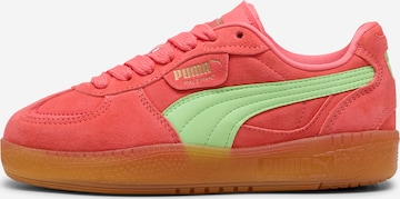 PUMANiske tenisice 'Palermo Moda Xtra Gum' - narančasta boja: prednji dio