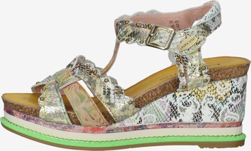 Laura Vita Strap Sandals in Mixed colors