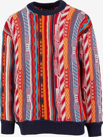 Pull-over Colucci en mélange de couleurs : devant
