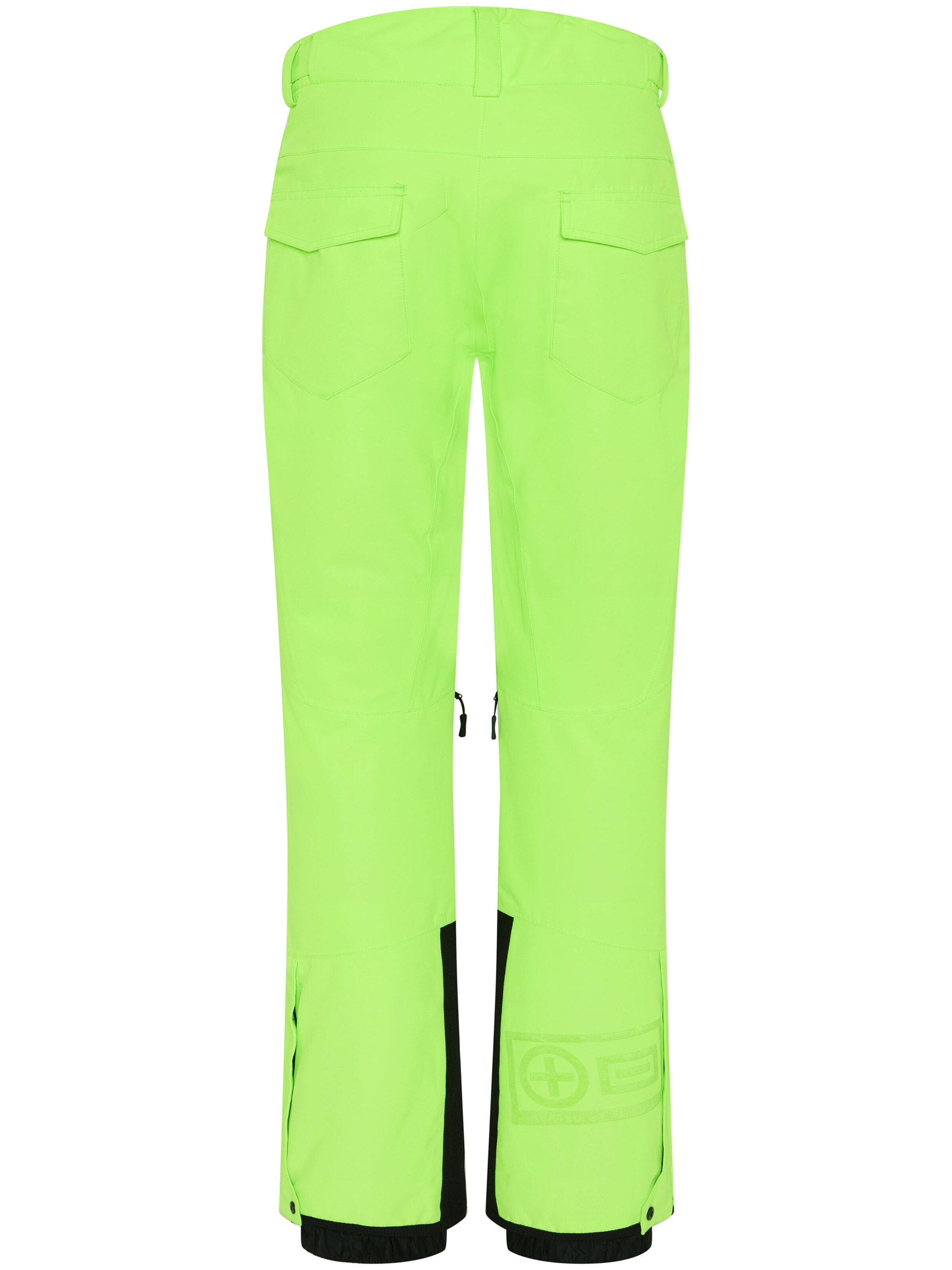 CHIEMSEE Regular Workout Pants in Green