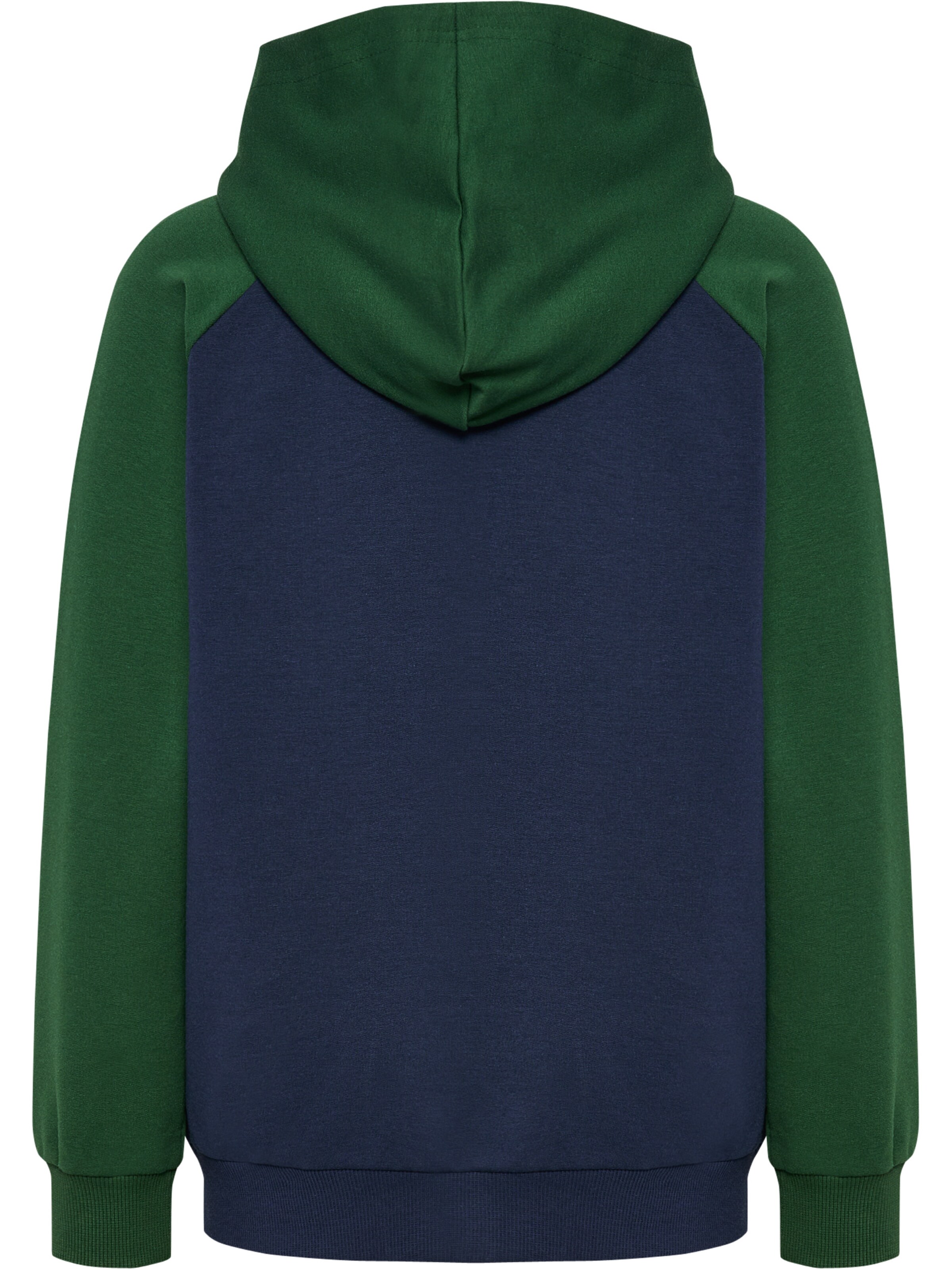 Hummel Sweatshirt 'Essen' i blå