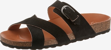 VERBENAS Mules in Black: front