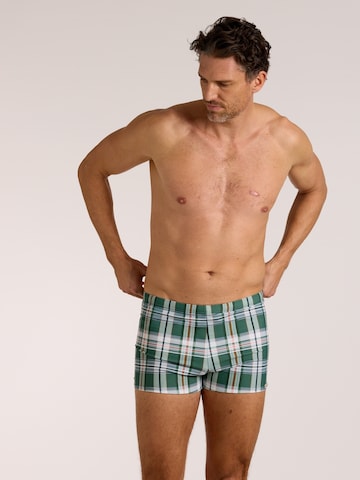 wavebreaker Swim Trunks in Green