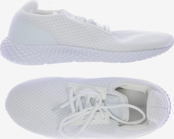 Pier One Sneakers & Trainers in 40 in White: front