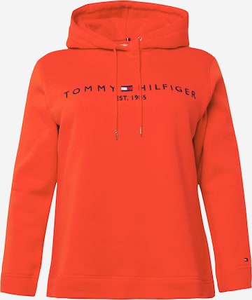 Tommy Hilfiger Curve Sweatshirt in Red: front