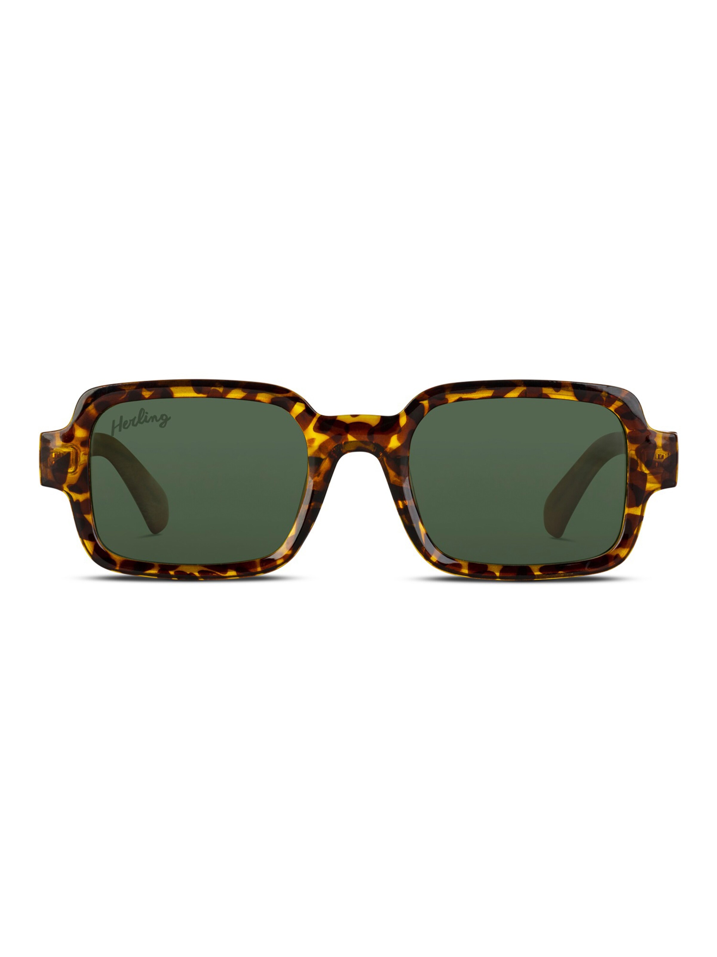 Herling Sunglasses 'Dashiell Sun' in Brown