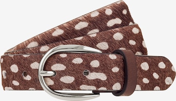 VANZETTI Belt in Brown: front