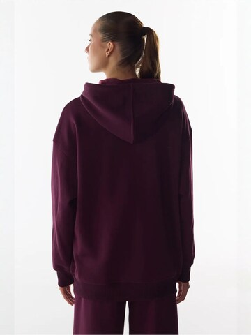 Penti Dressipluus 'Kapuzenpullover', värv punane