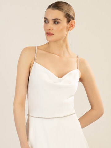 APART Kleid in Beige