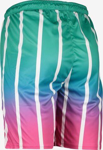 PUMA Regular Workout Pants in Mixed colors