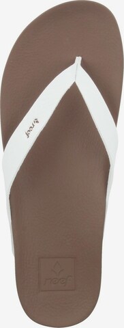 REEF T-Bar Sandals 'Cushion' in White