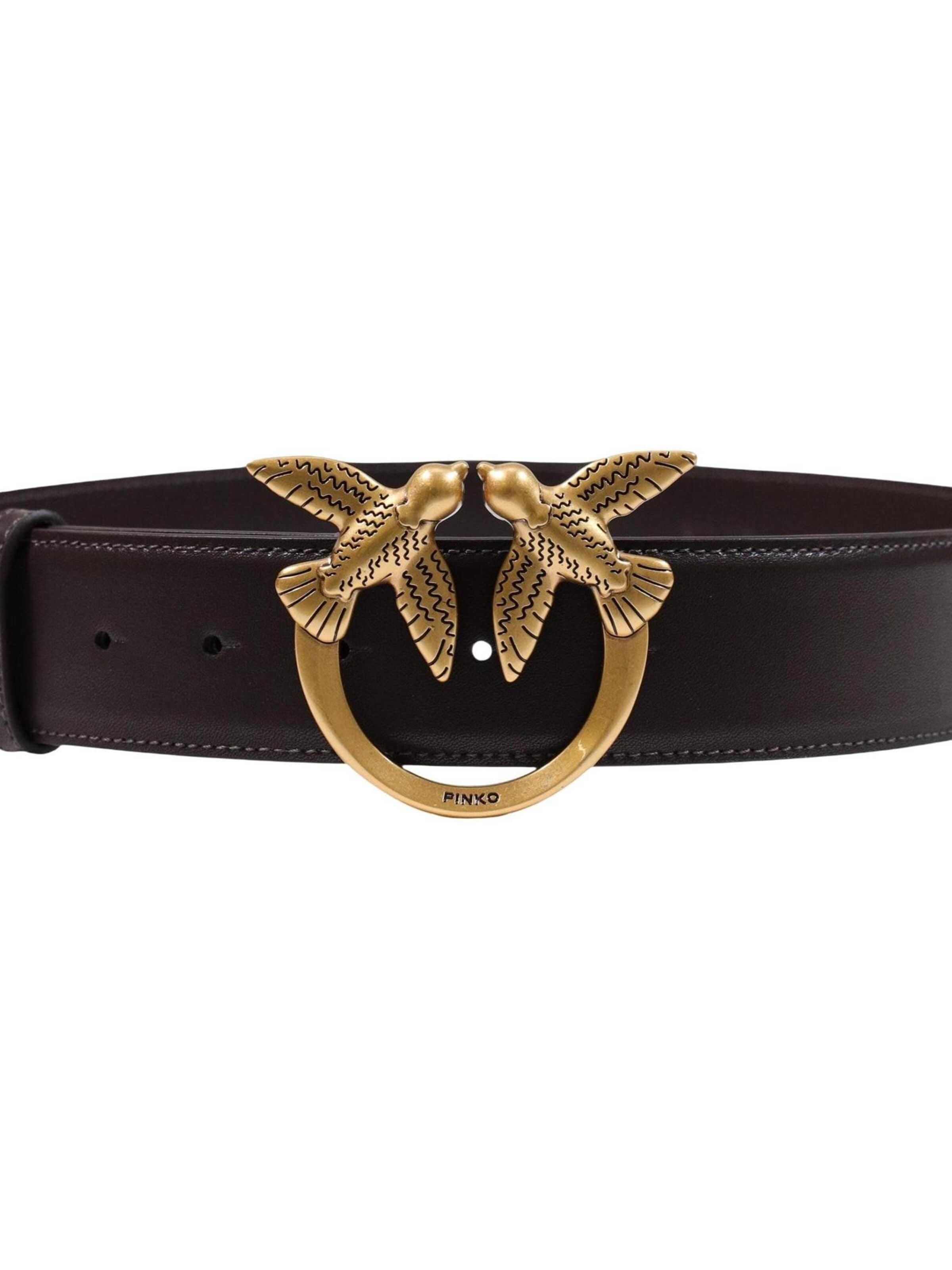 PINKO Riem 'ALTA LOVE BIRDS IN PELLE' in Bruin