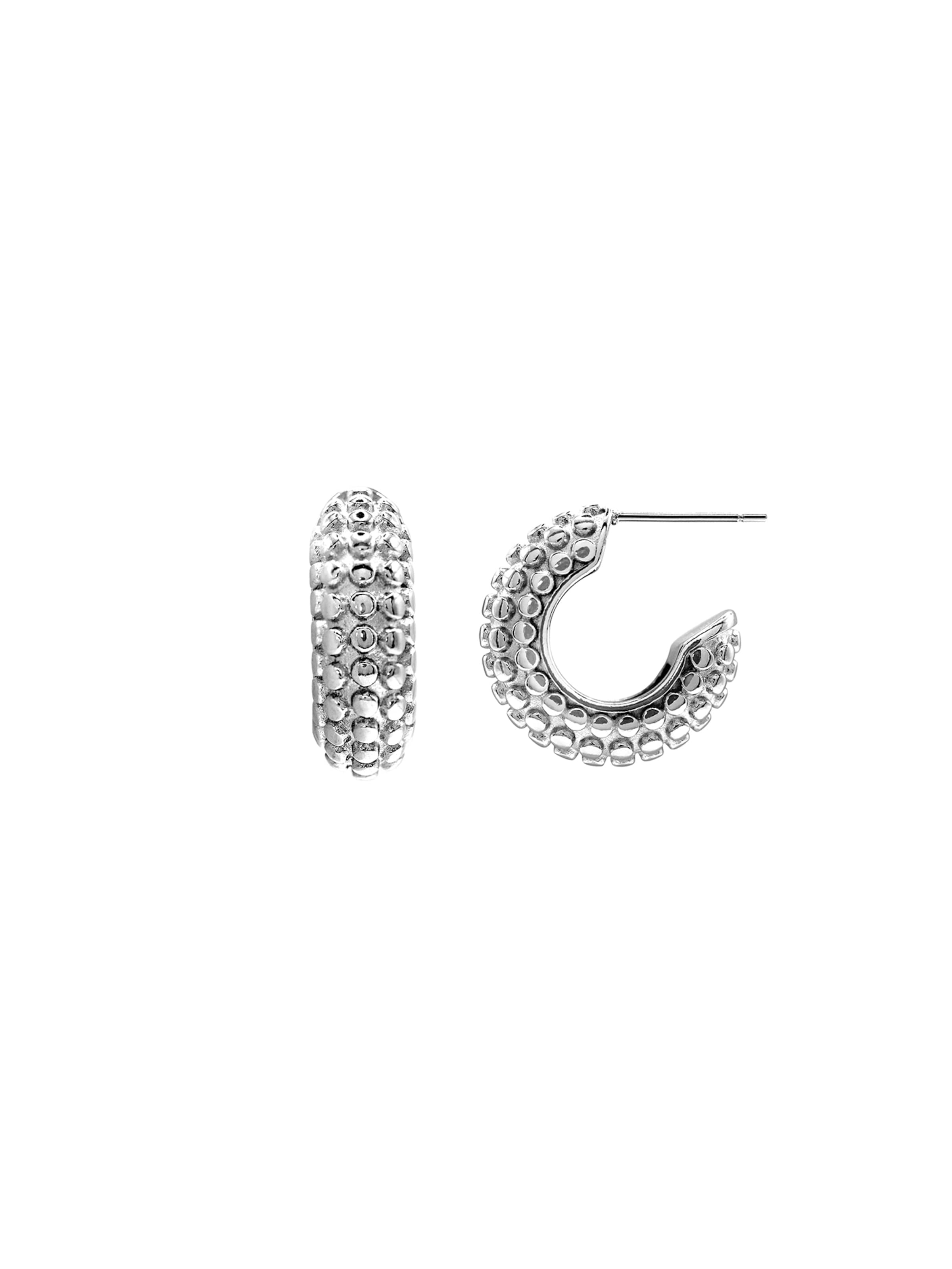 Boucles d'oreilles Heideman en argent