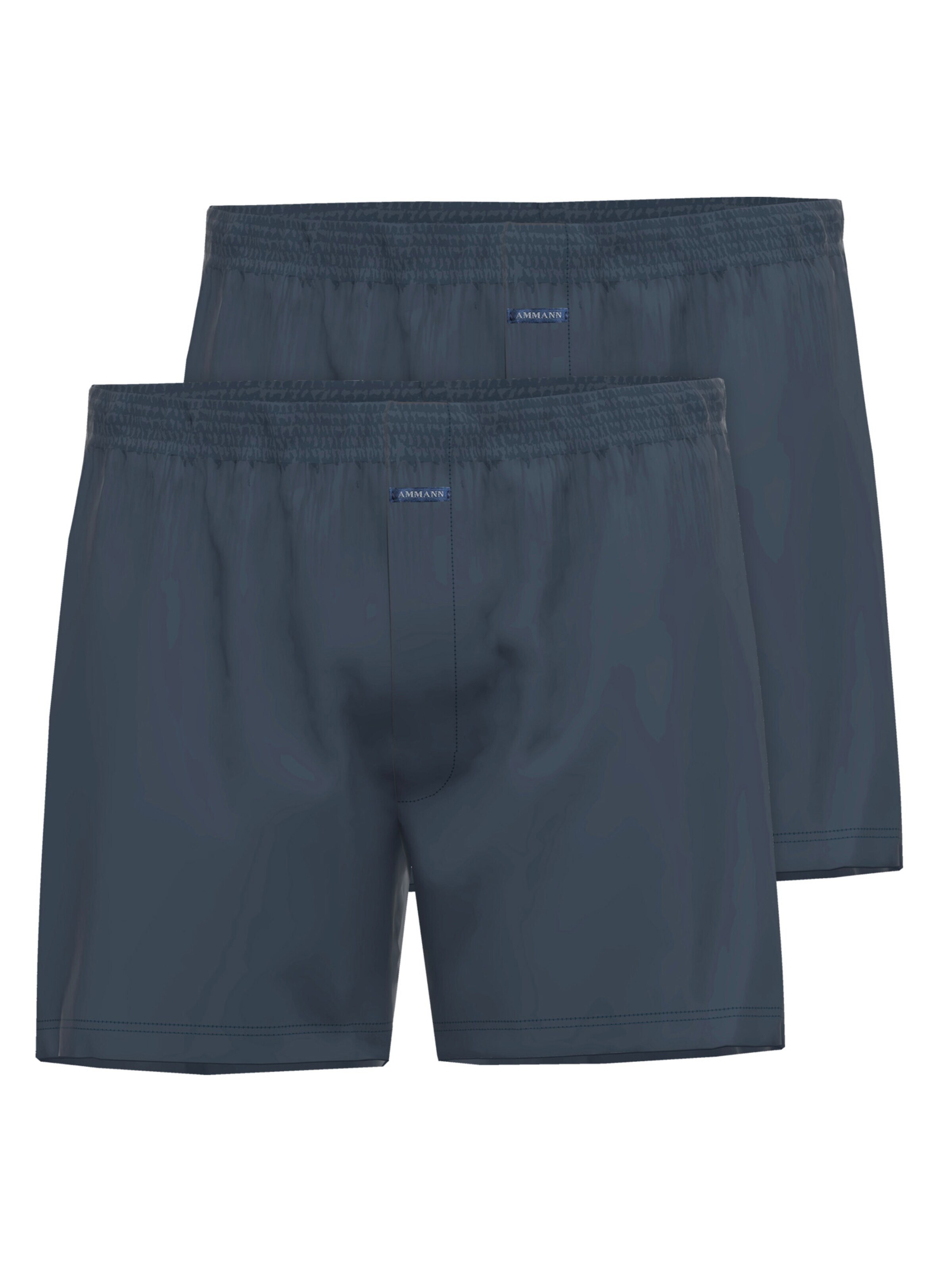 Ammann Boxer shorts 'Day Modern' in Blue: front