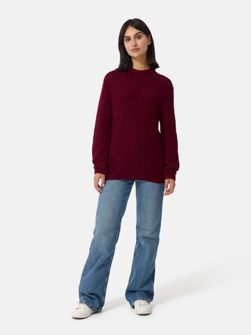 Pullover di CASH-MERE.CH in rosso