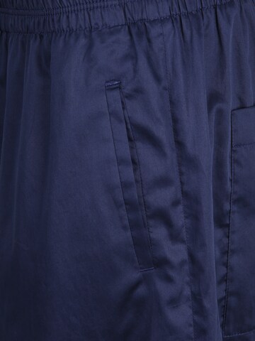 DRYKORN Szeroka nogawka Spodnie 'WINDY' w kolorze niebieski