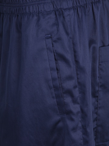 DRYKORN Zvonové kalhoty Kalhoty 'WINDY' – modrá