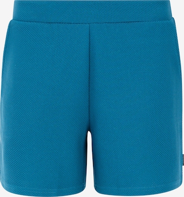 PROTEST Hose 'PRTSemma' in Blau: Vorderseite