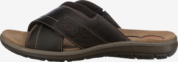 SALAMANDER Mules 'Logato' in Brown: front