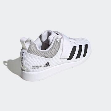 Chaussure de sport 'Powerlift 5' ADIDAS PERFORMANCE en blanc