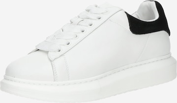 STEVE MADDEN Trampki niskie 'Iccey' w kolorze biały: przód