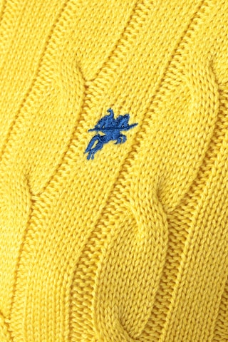 DENIM CULTURE Sweater 'LUDOVICA' in Yellow