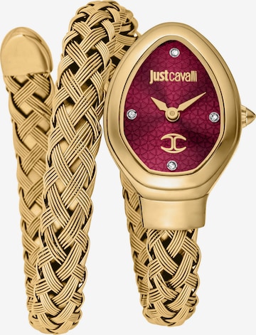 Just Cavalli Time Analog Watch in Gold: front