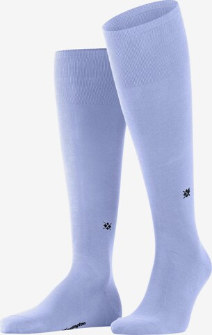 BURLINGTON Knee High Socks 'Dublin' in Blue: front
