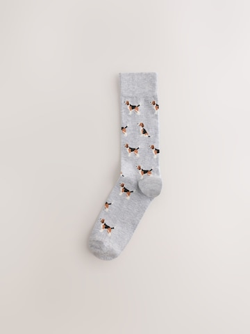 Next Socks in Mixed colours