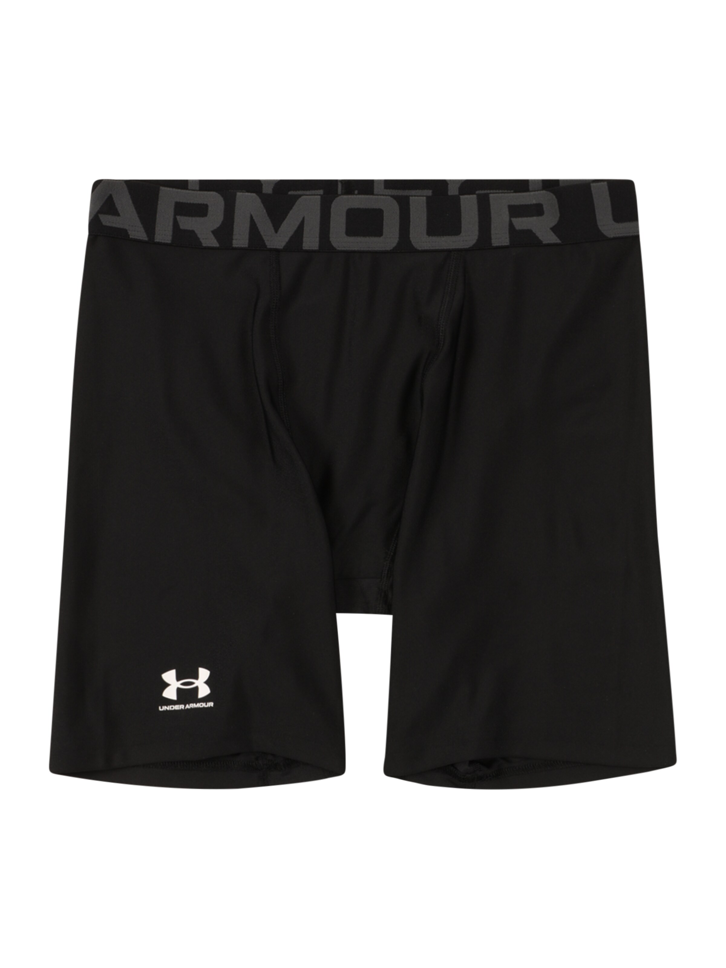 UNDER ARMOUR Skinny Sportbyxa i svart: framsida