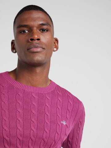 Pull-over GANT en violet