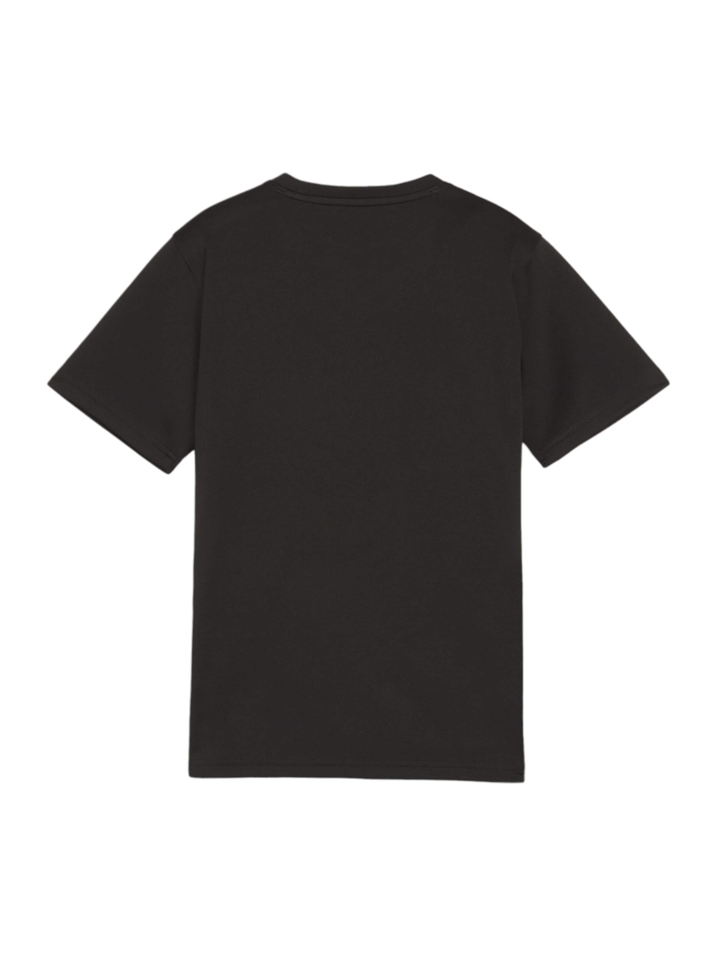 PUMATehnička sportska majica 'TeamGoal' - crna boja