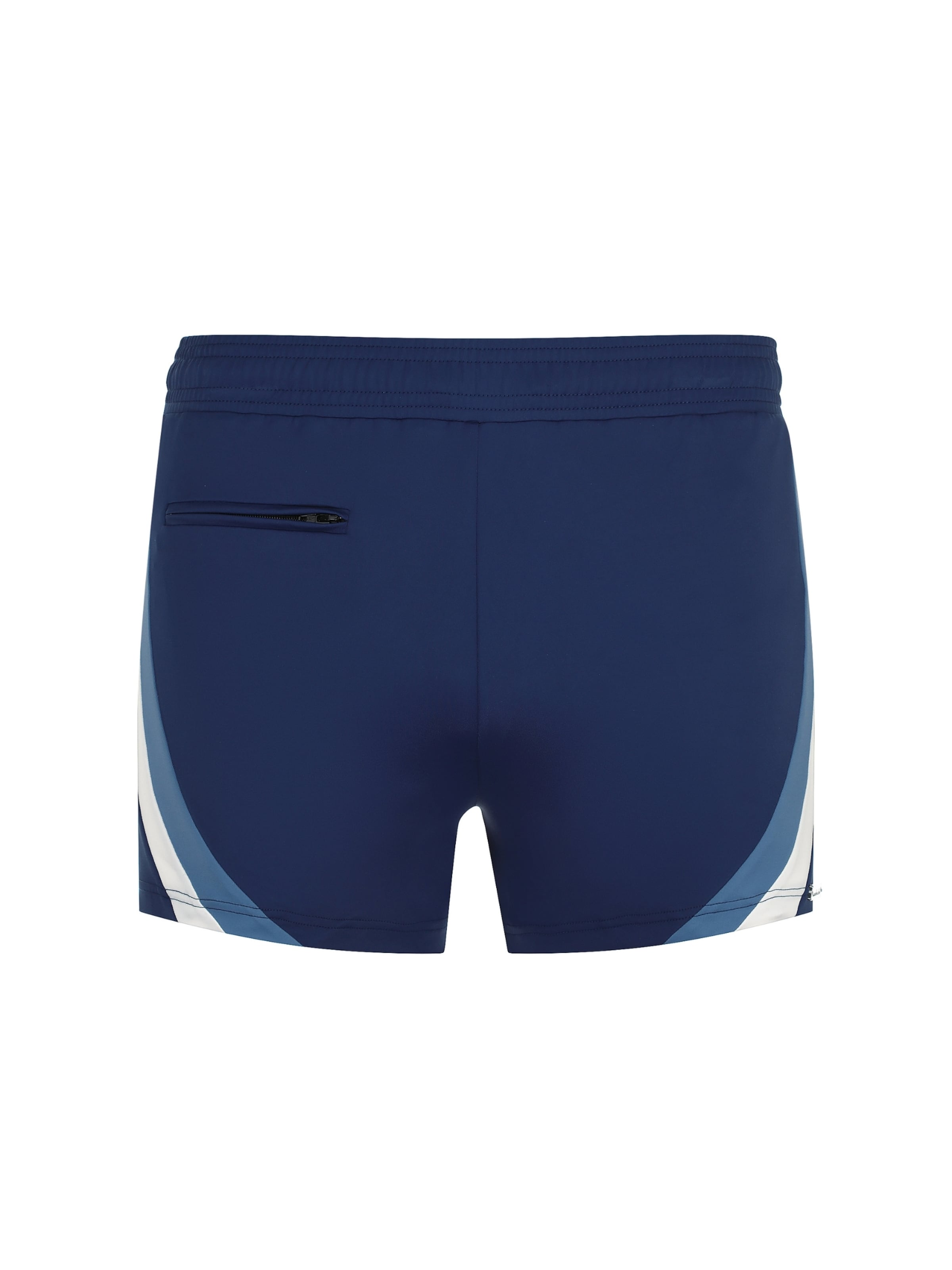 wavebreaker Swim Trunks in Blue: front