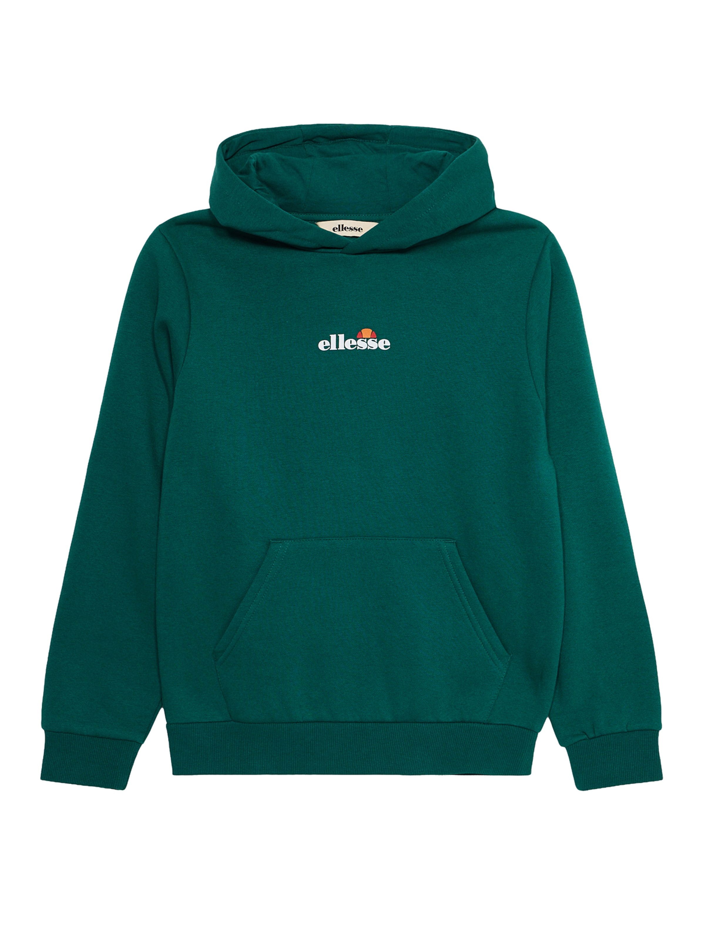 ELLESSE Sweatshirt 'Otternere' in Grün: Vorderseite