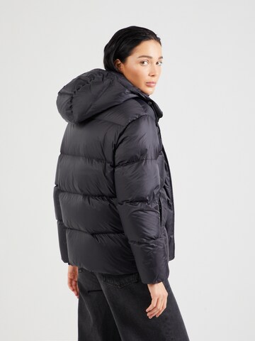 Polo Ralph Lauren Winter Jacket in Black