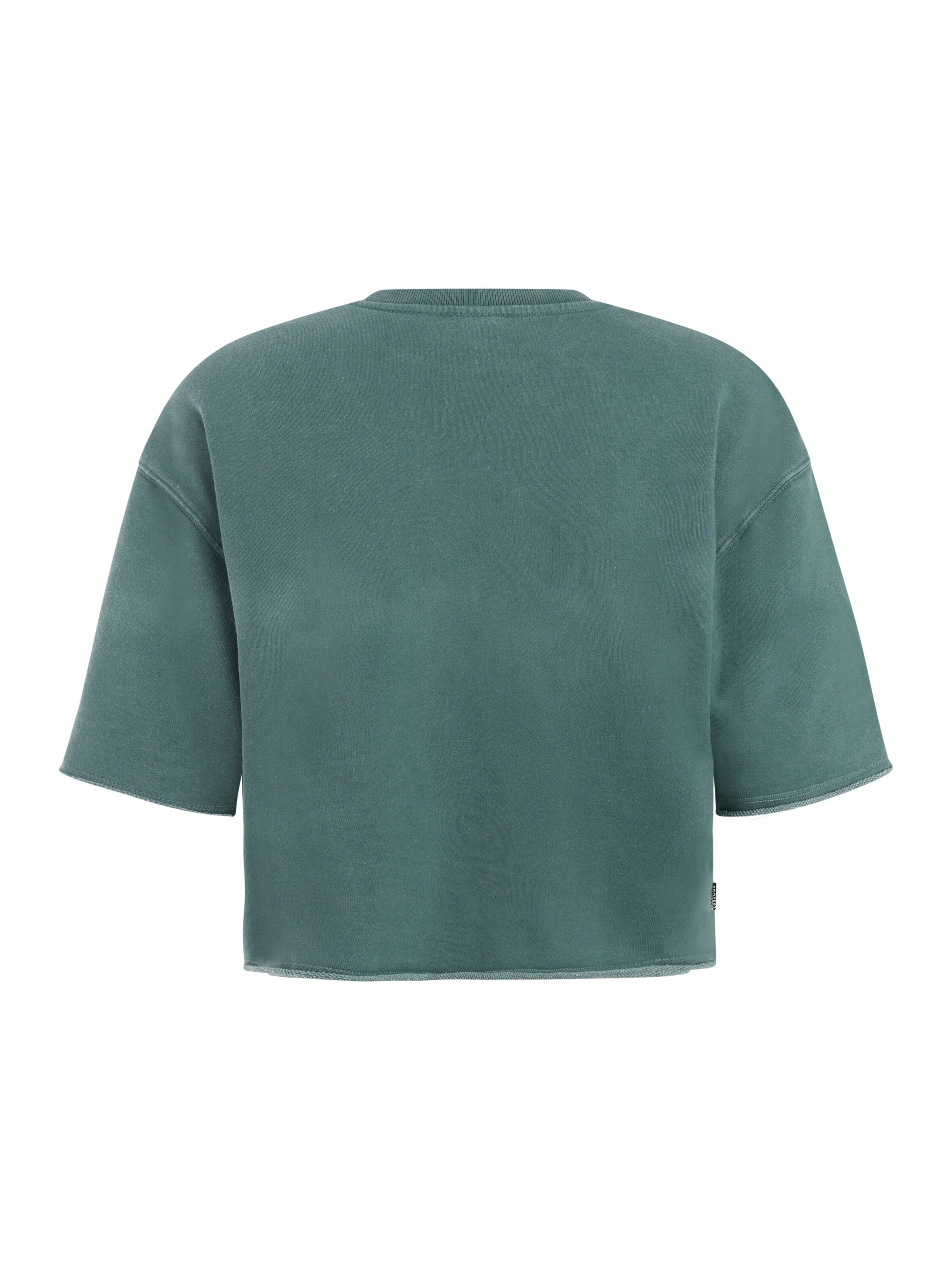 PROTEST Shirt 'PRTMayte' in Green
