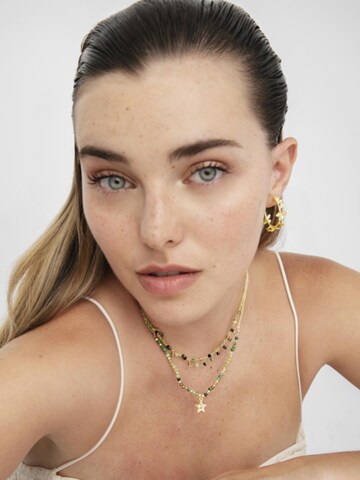Chaîne 'Awulf' Luxenter en mélange de couleurs