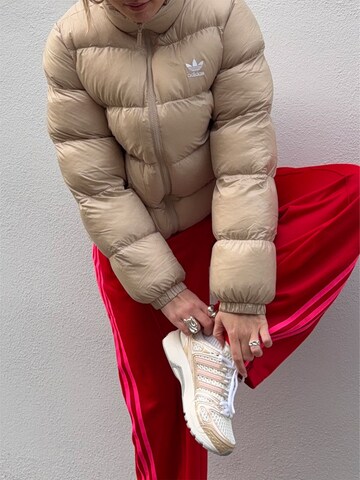 ADIDAS ORIGINALS Winter Jacket 'Adicolor' in Beige