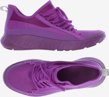 ECCO Sneakers & Trainers in 35 in Purple: front